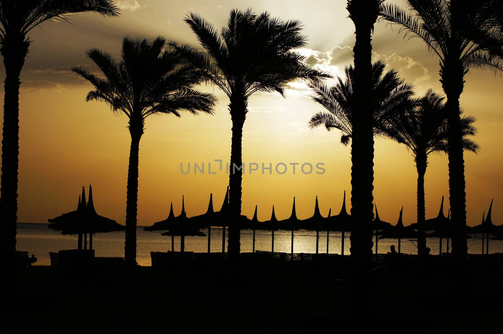 Sunrise over the beach on egyptian coast of the Red sea     