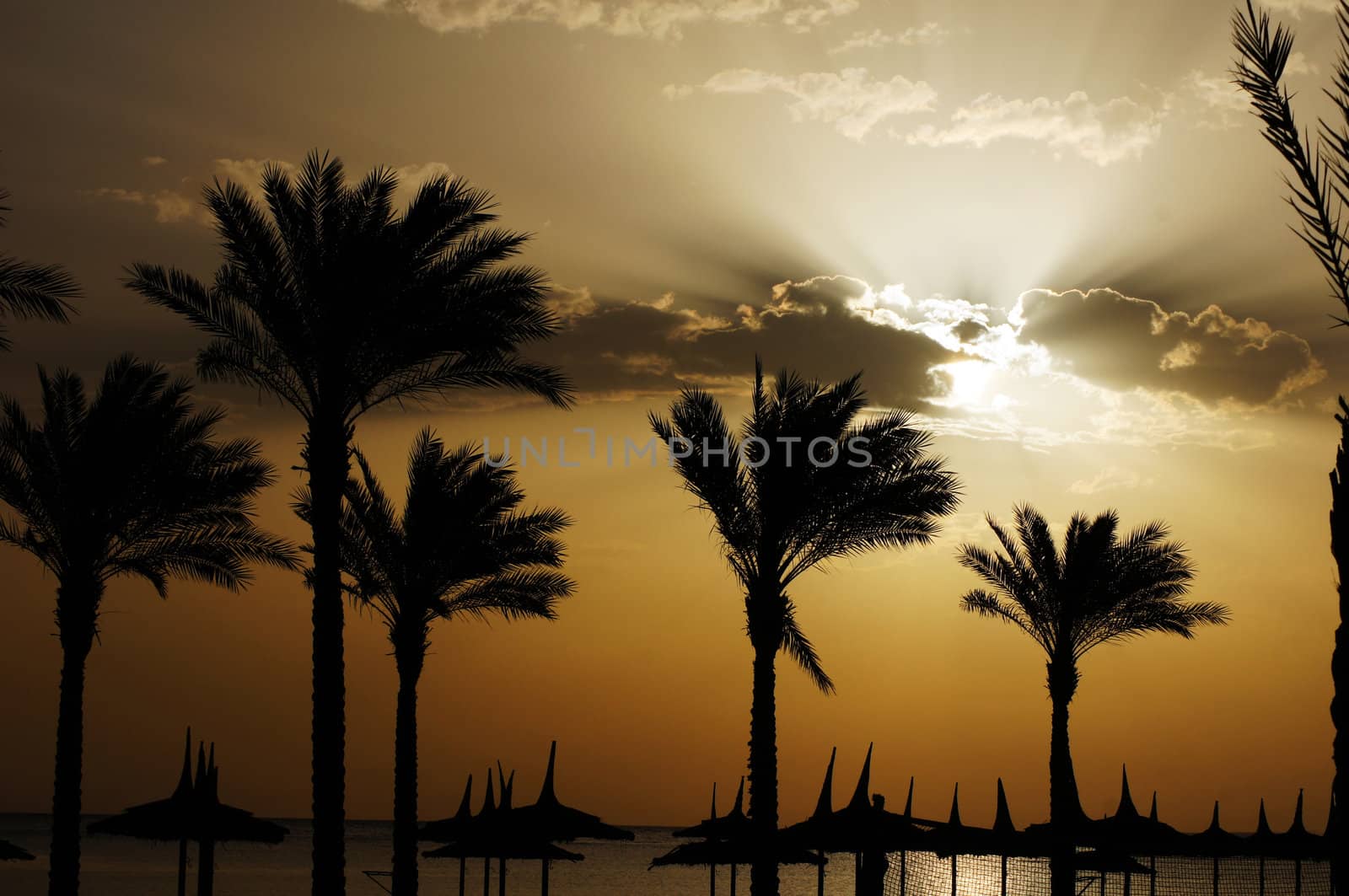 Sunrise over the beach on the coast of Red sea              