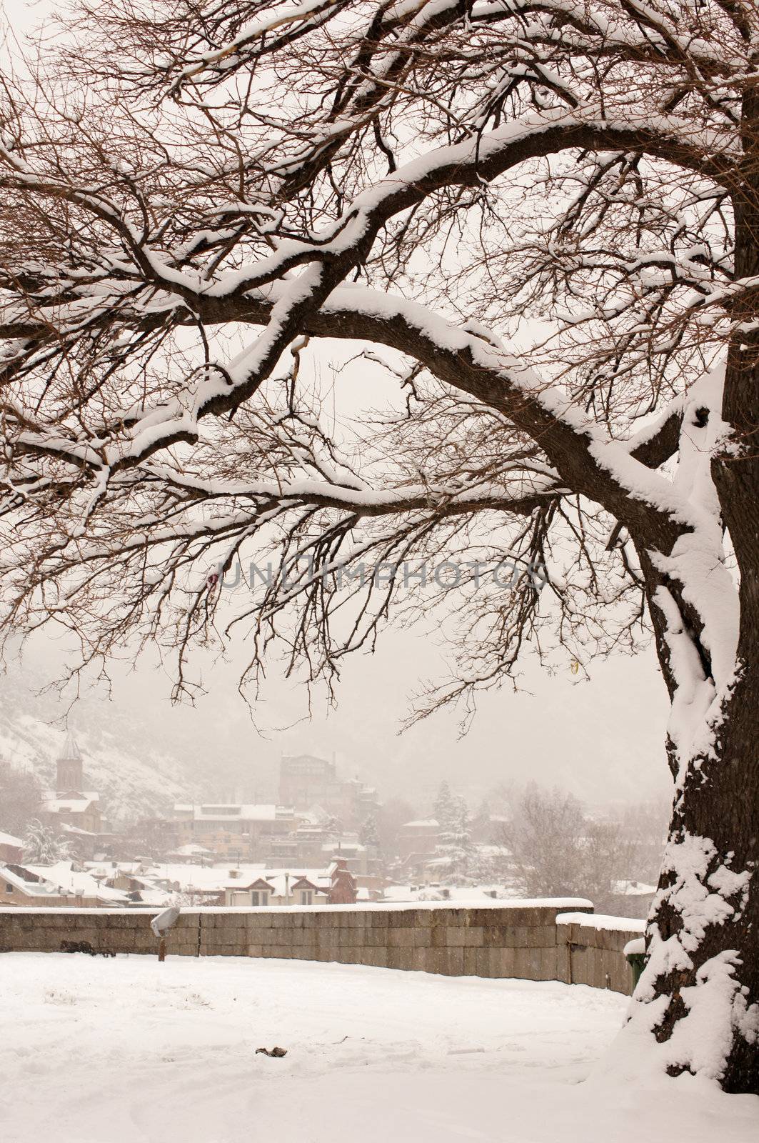 Winter view to covered with snow Tbilisi Old town in misty day by Elet