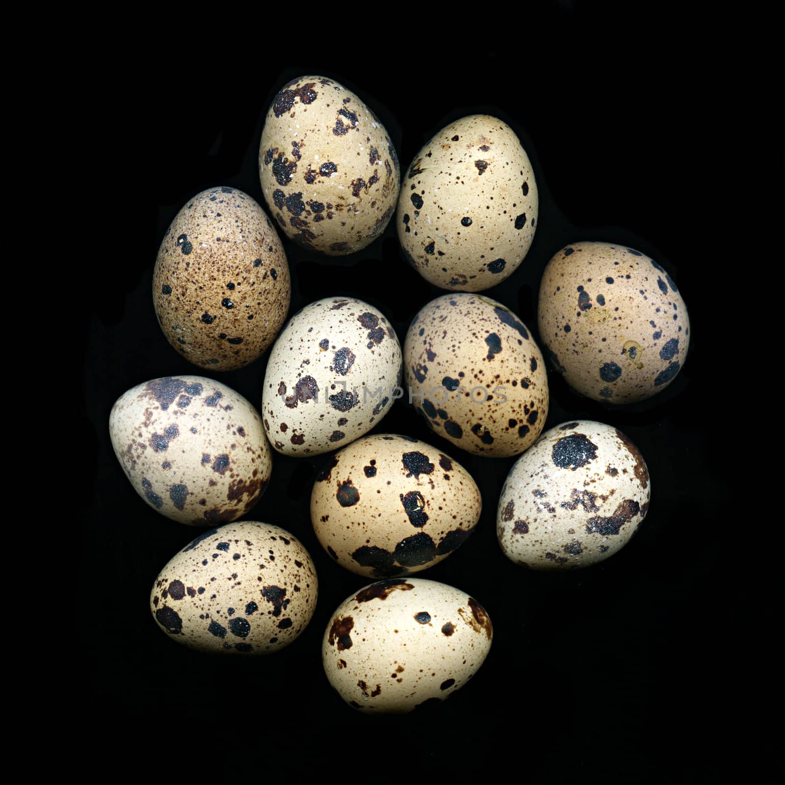 A pile of quail eggs against black background