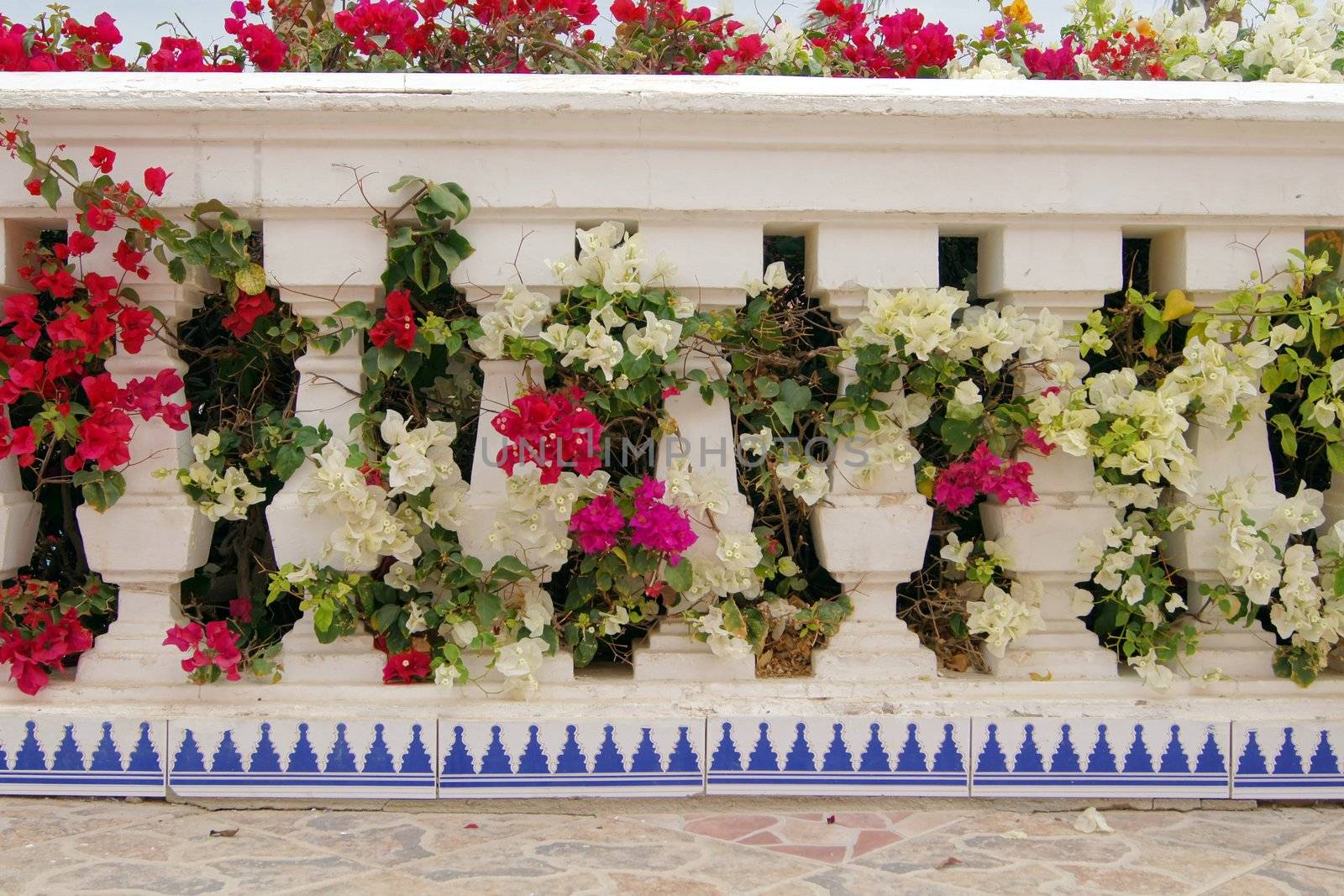 Arabic architecture: steps decorated with ceramic tiles by Elet