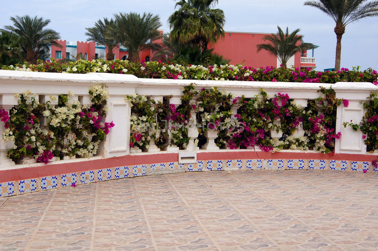 Arabic architecture: walkway with blooming bougainvillea bushes               