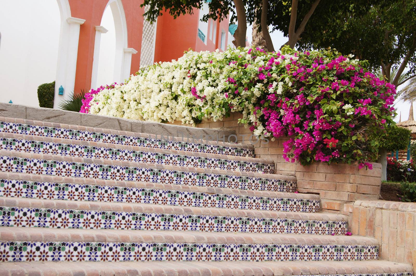 Courtyard of mediterranean villa with ceramic tile walkway and blooming bushes in Egypt     