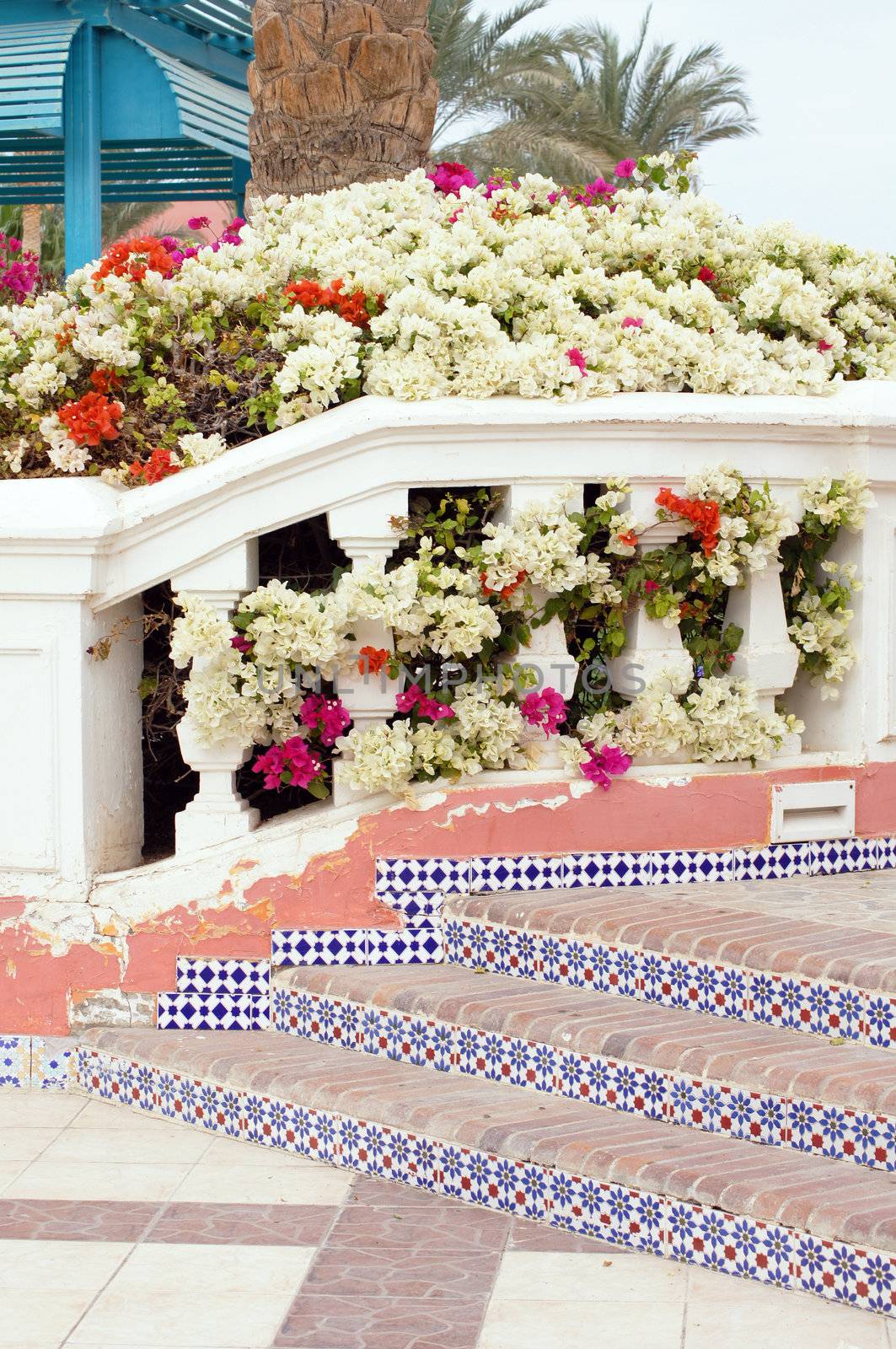 Courtyard of mediterranean villa with ceramic tile walkway and blooming bushes in Egypt