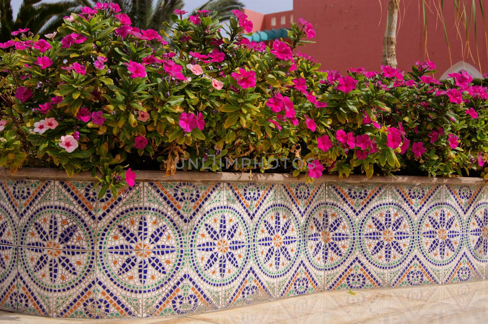 Courtyard of mediterranean villa with ceramic tile walkway and blooming bushes in Egypt                 