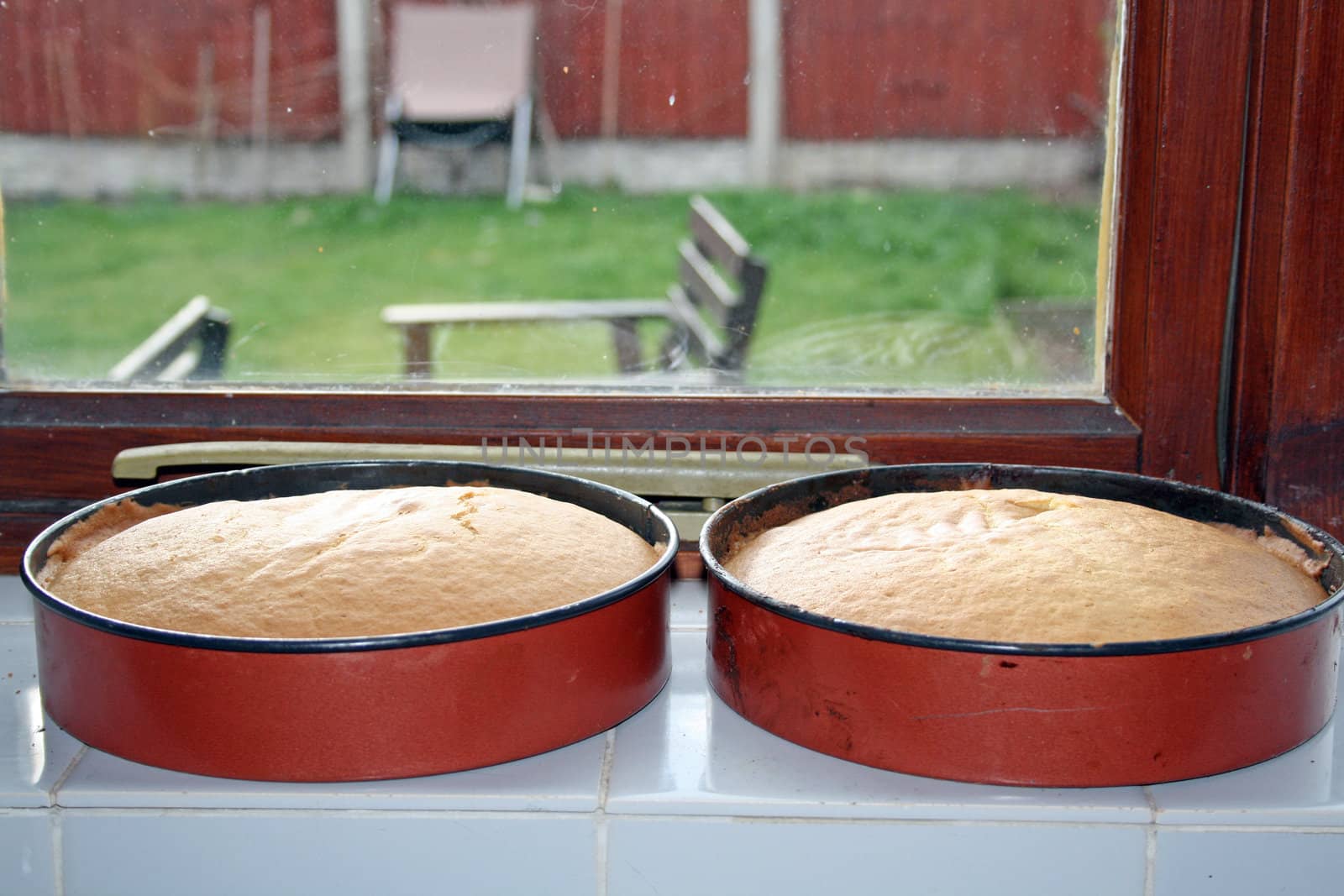 sponge cake cooling in a window