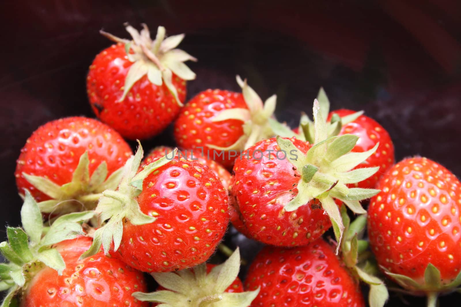 freshly harvested strawberries