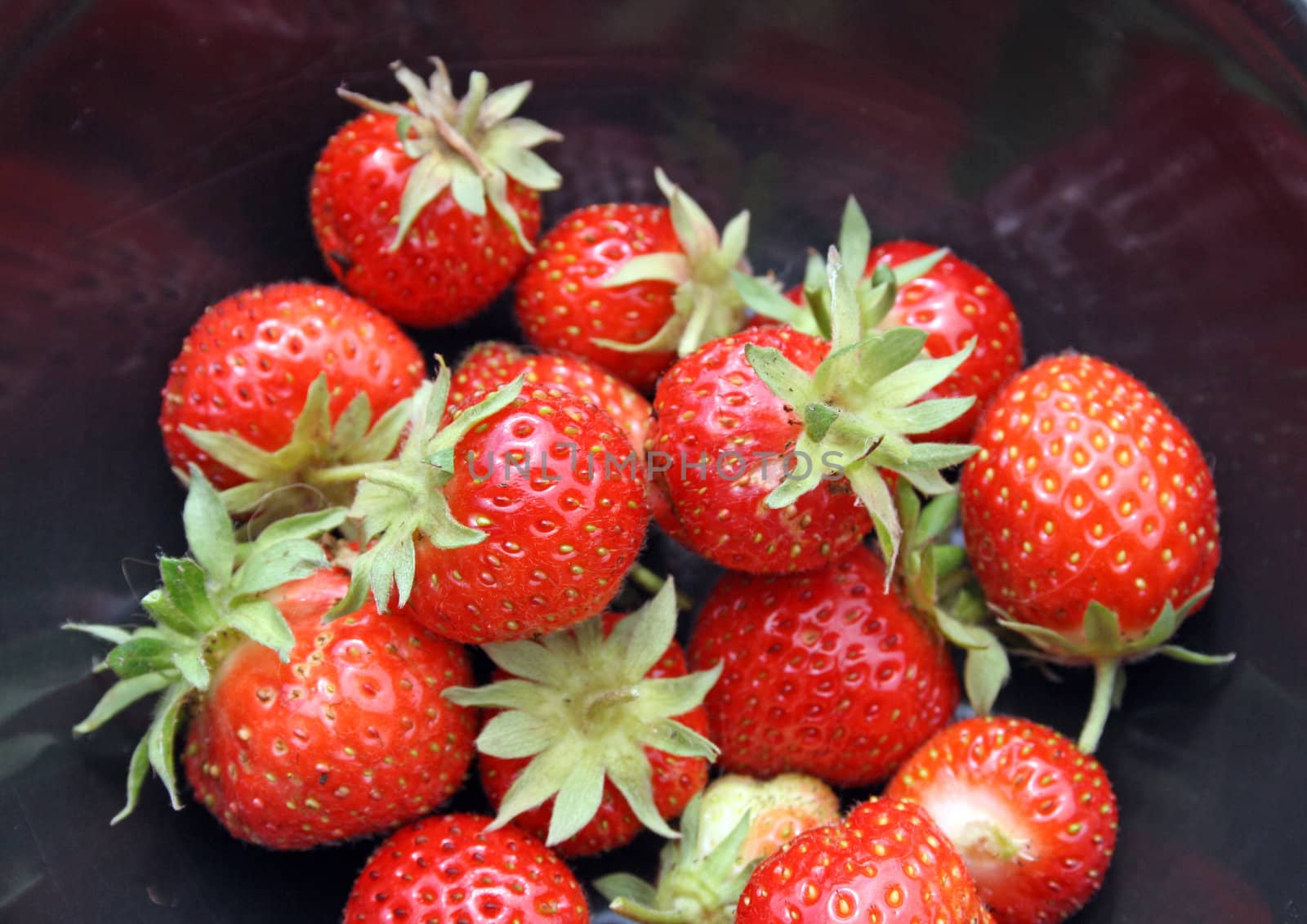 freshly harvested strawberries