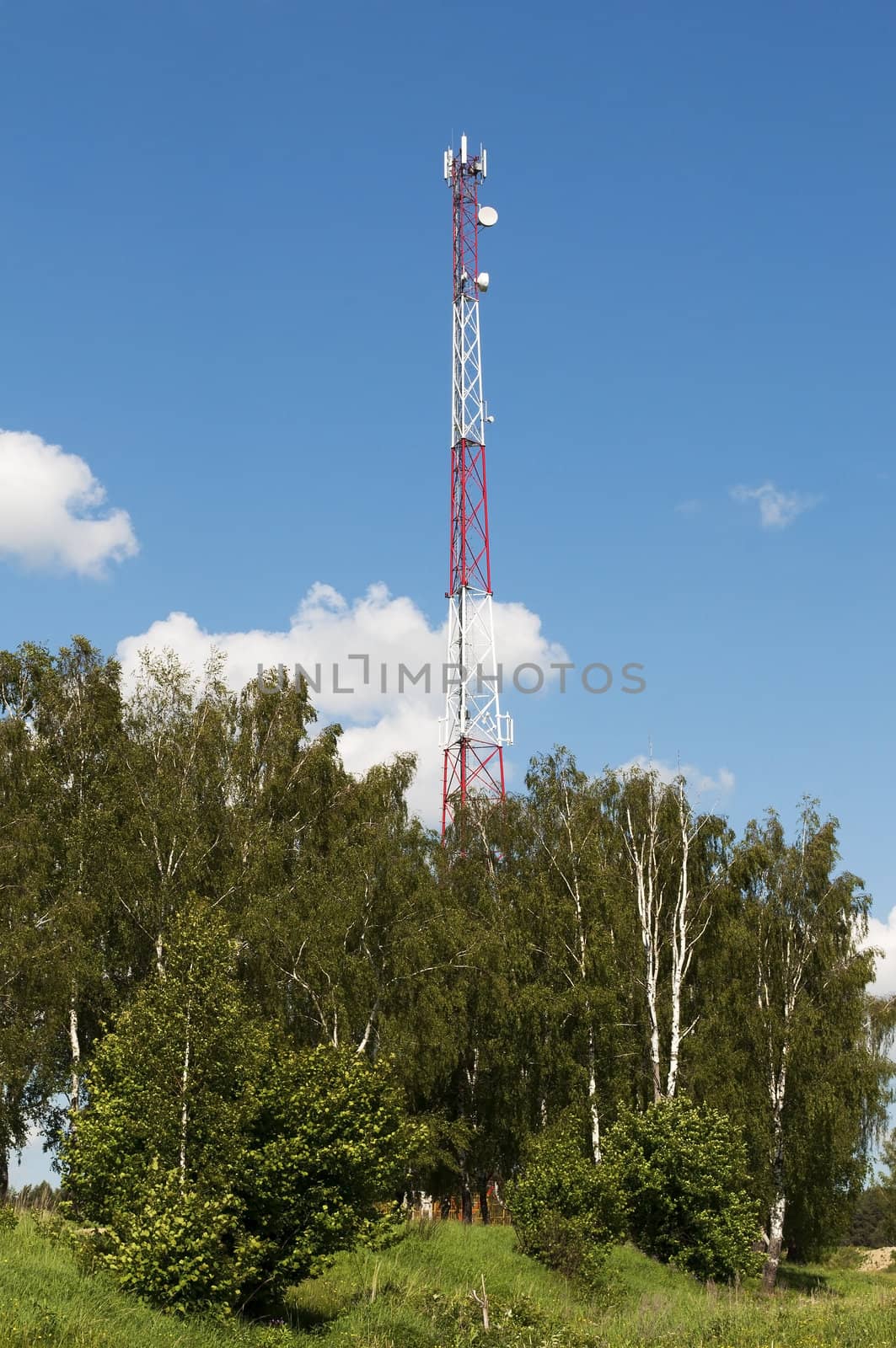 Country landscape with cellular tower by wander