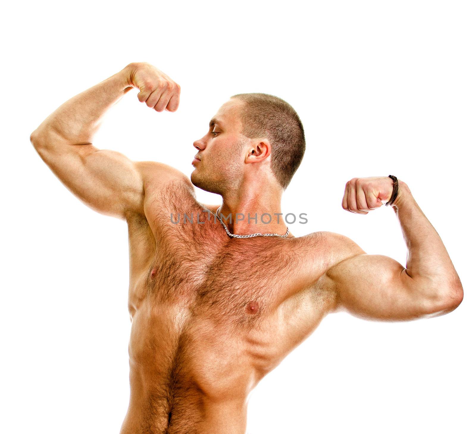 Muscular bodybuilder torso. Isolated on white background.