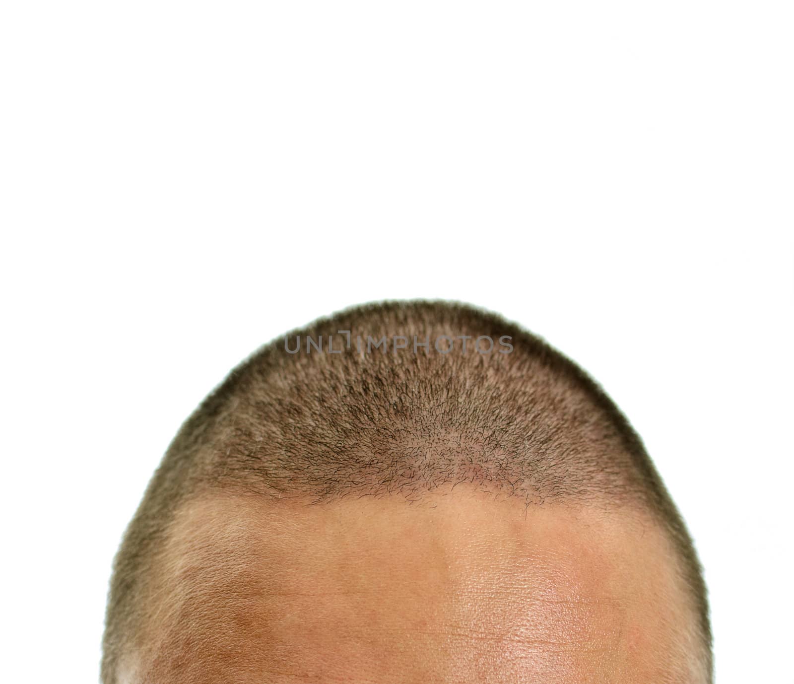 Closeup of mans head. Isolated on white.