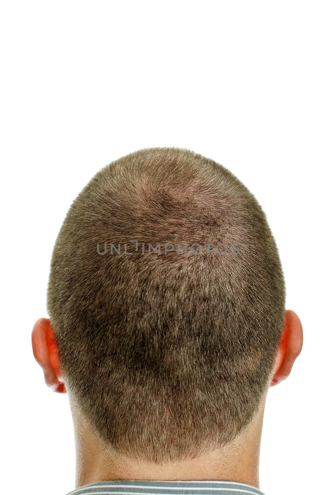 Closeup of the back of mans head. Isolated on white.