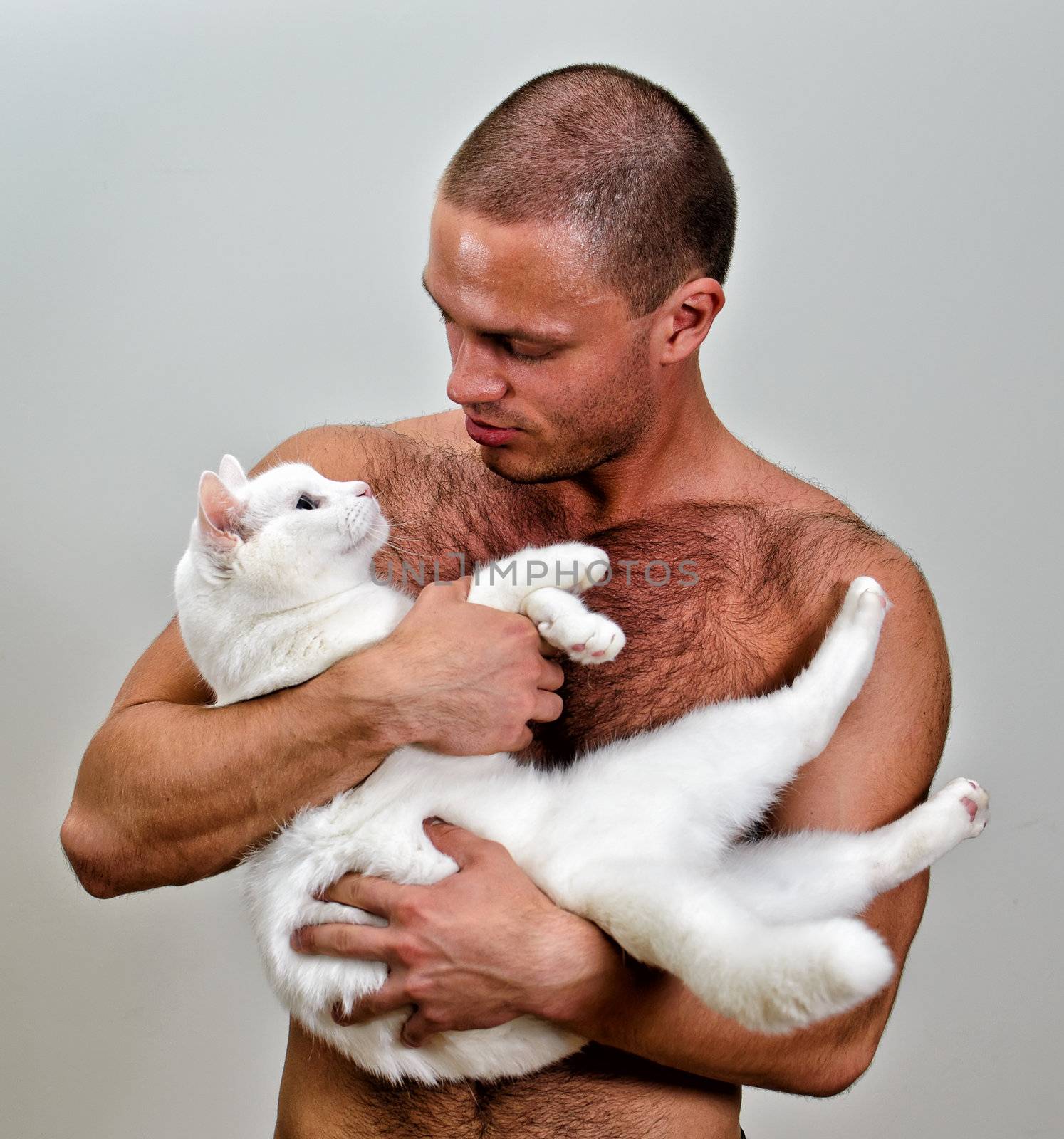 Muscular man holding white cat. On grey background.