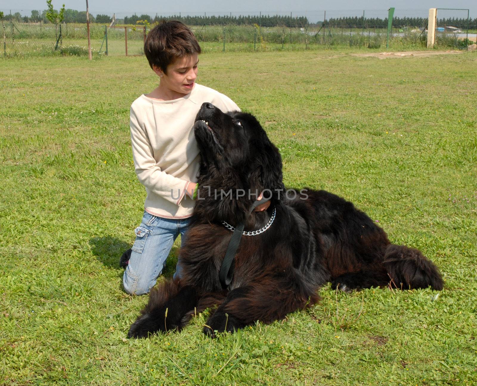 little girl and big dog by cynoclub