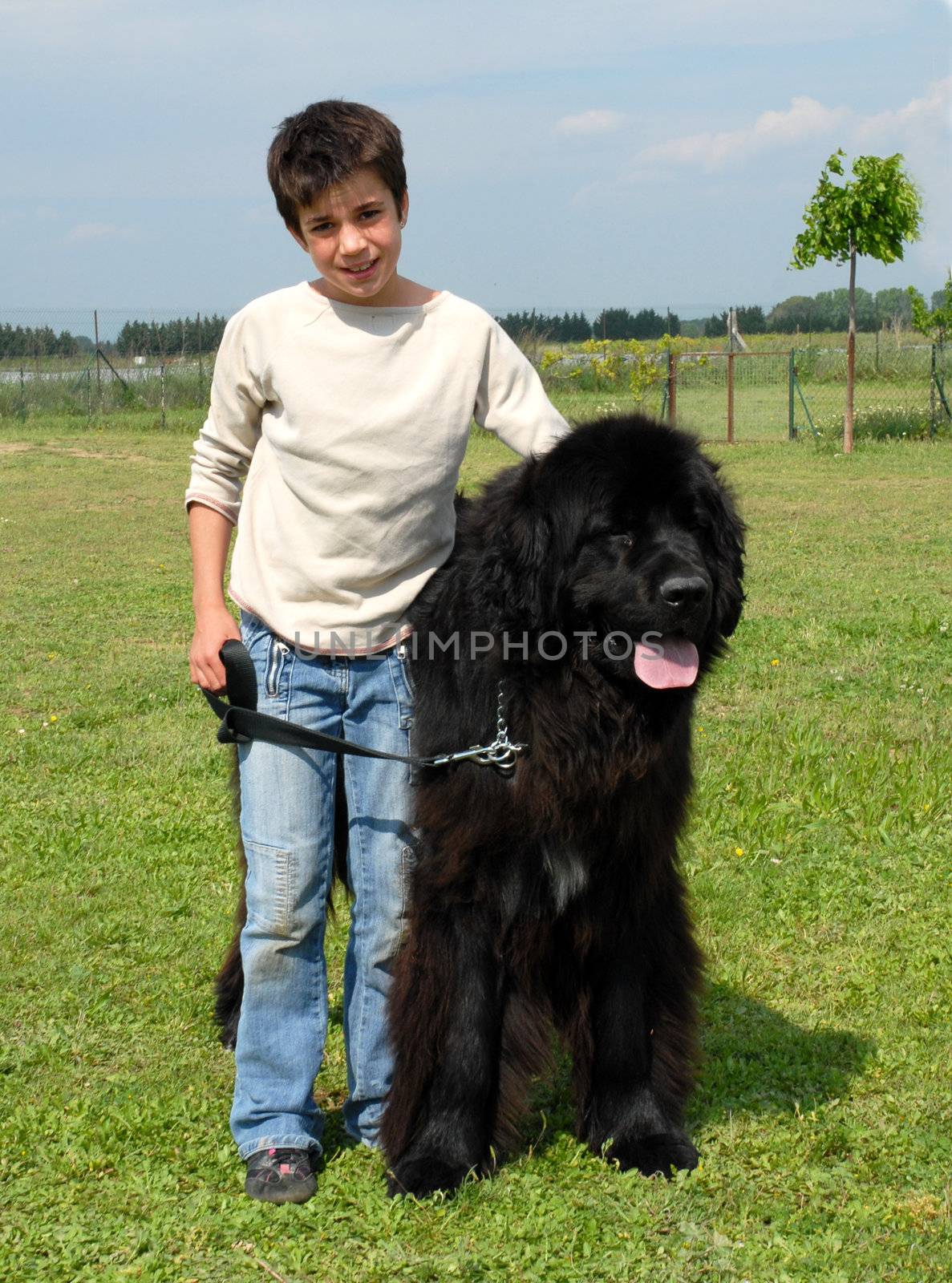 little girl and big dog by cynoclub