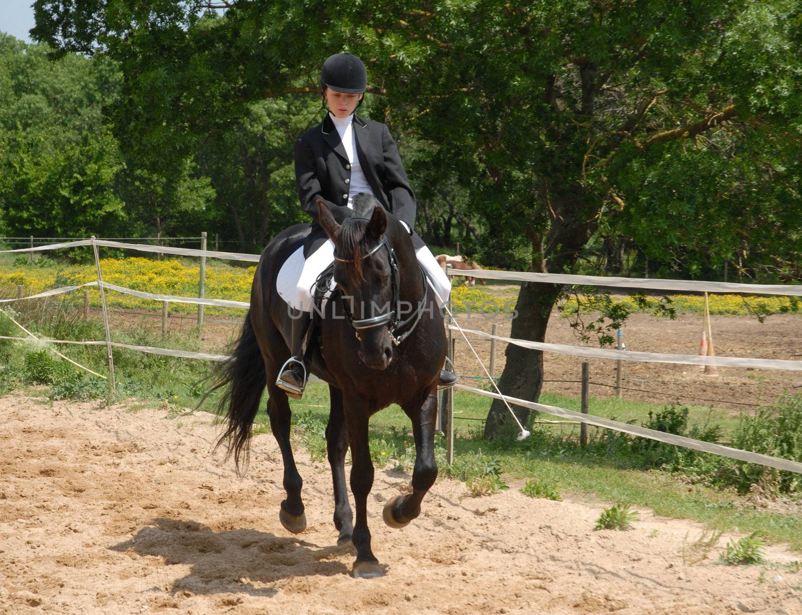 training in dressage for a black horse and her riding girl