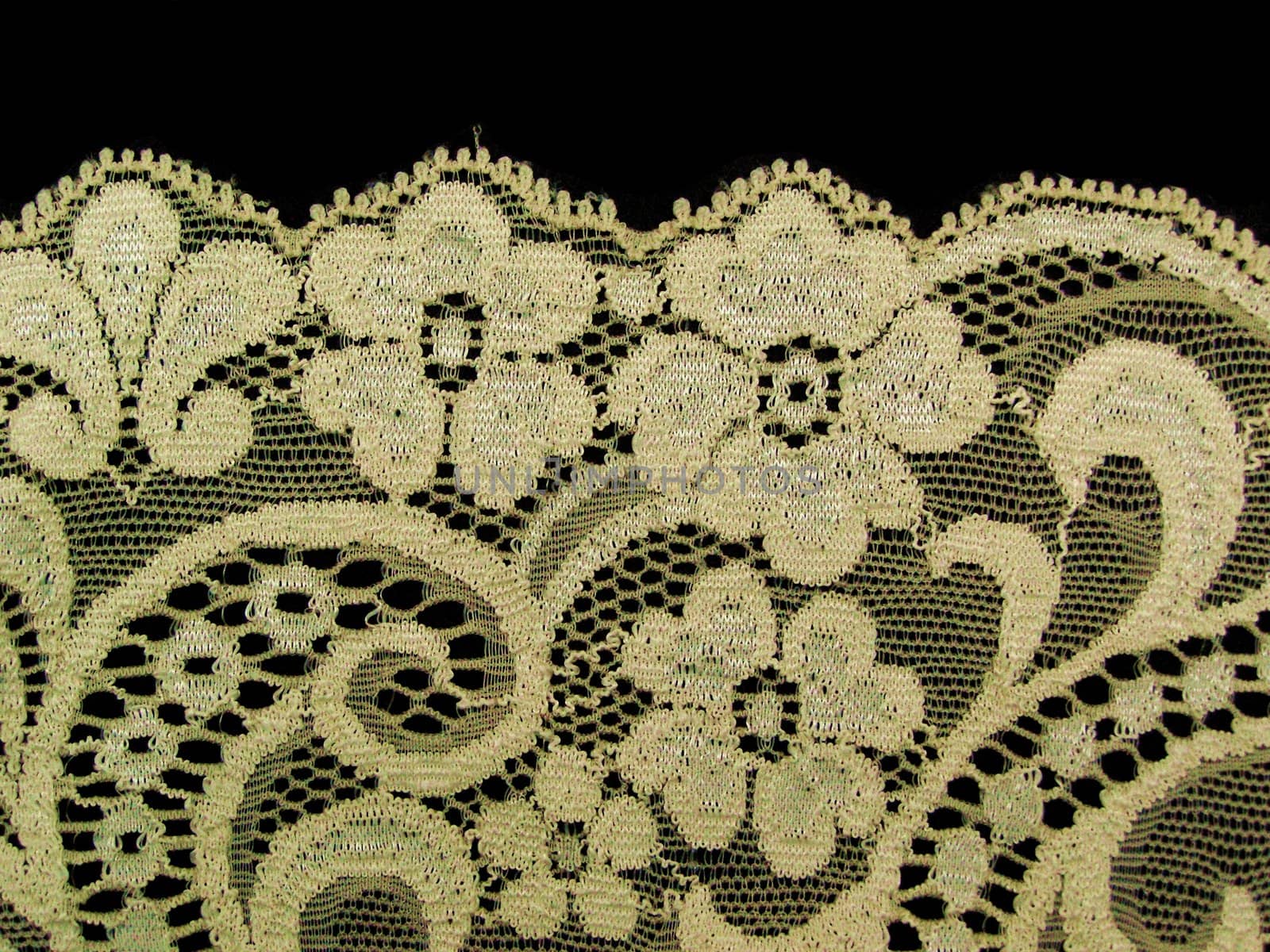 floral lace band texture