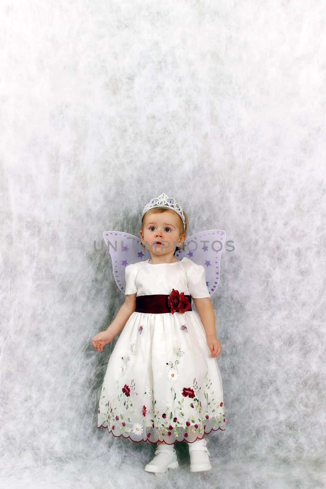 Portrait of the small nice girl in studio