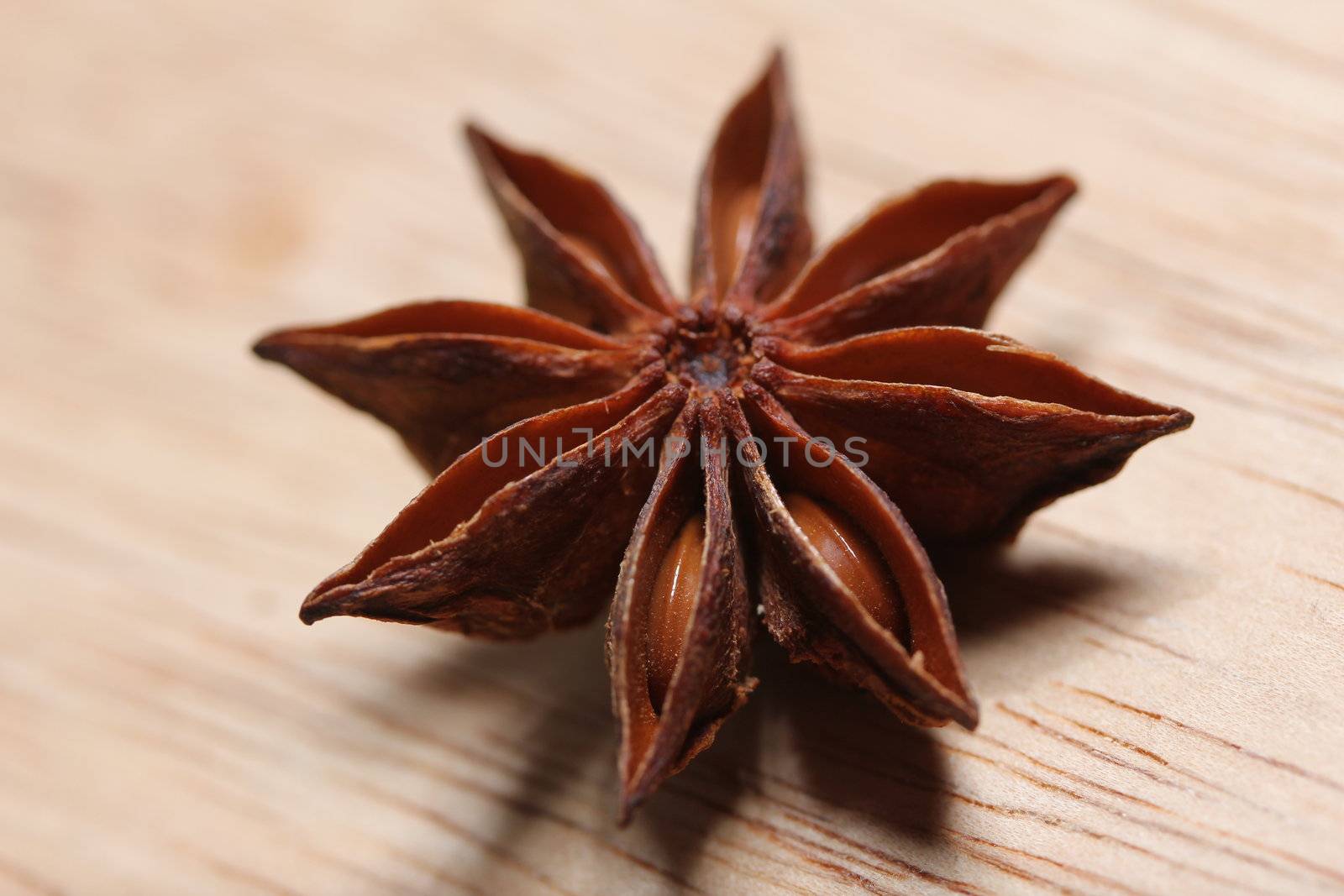 star anise by Teka77