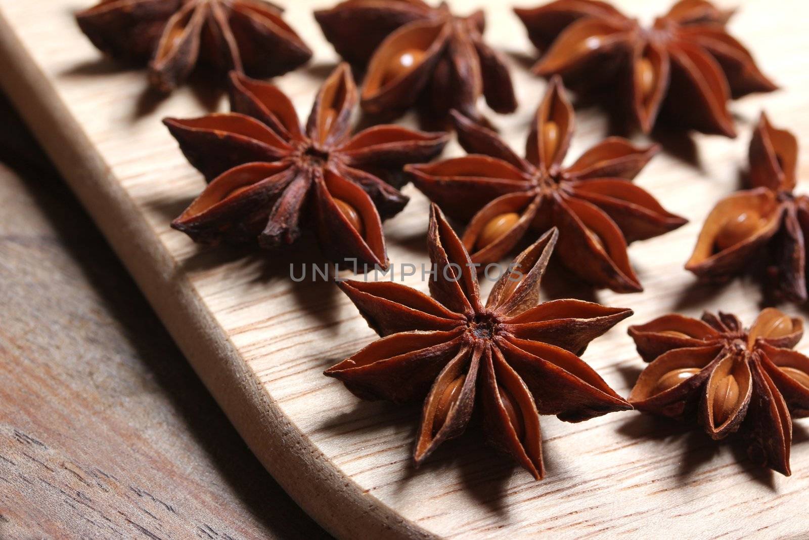 star anise by Teka77