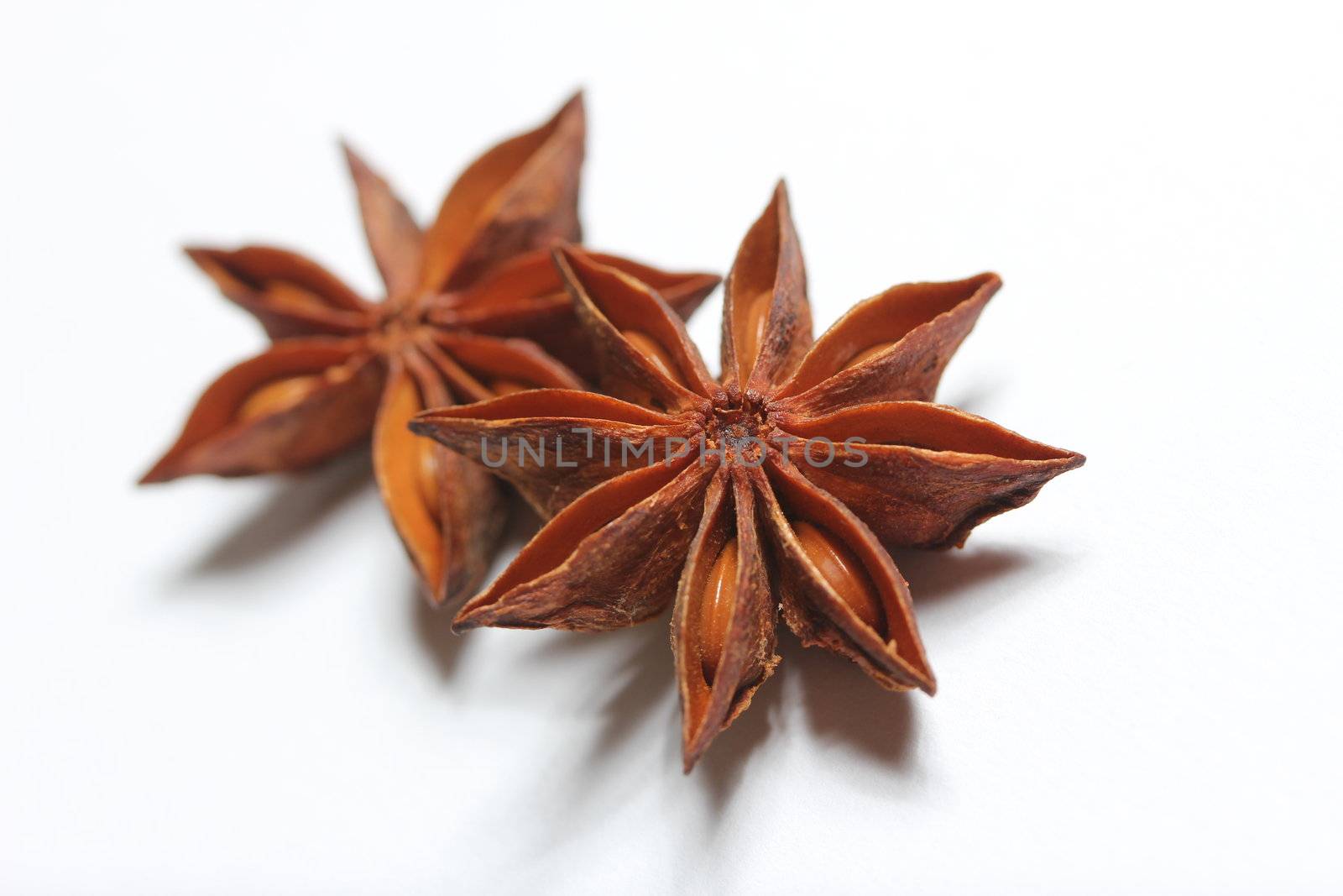 isolated star anise