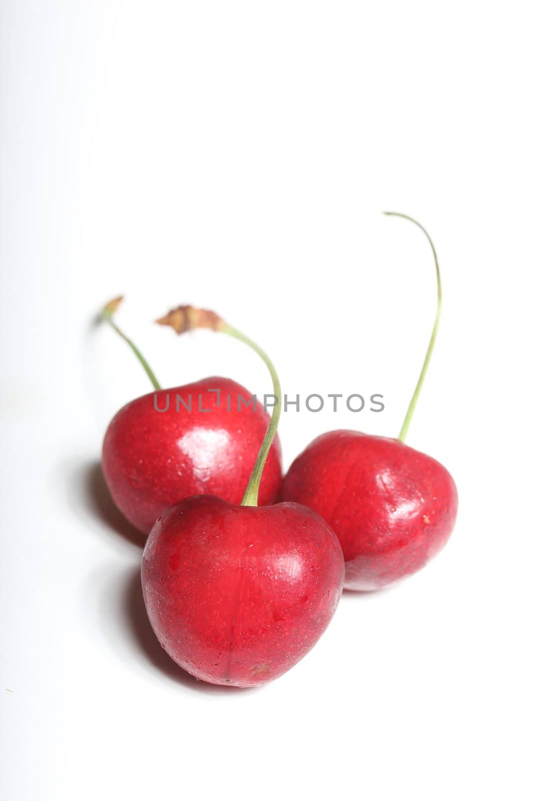 isolated cherries by Teka77
