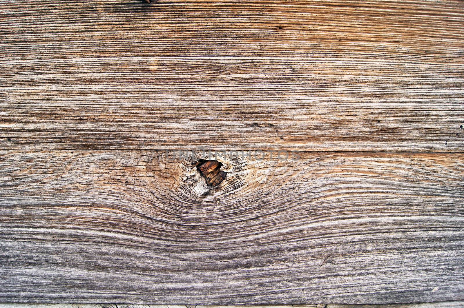 Close up of wood background by Elet