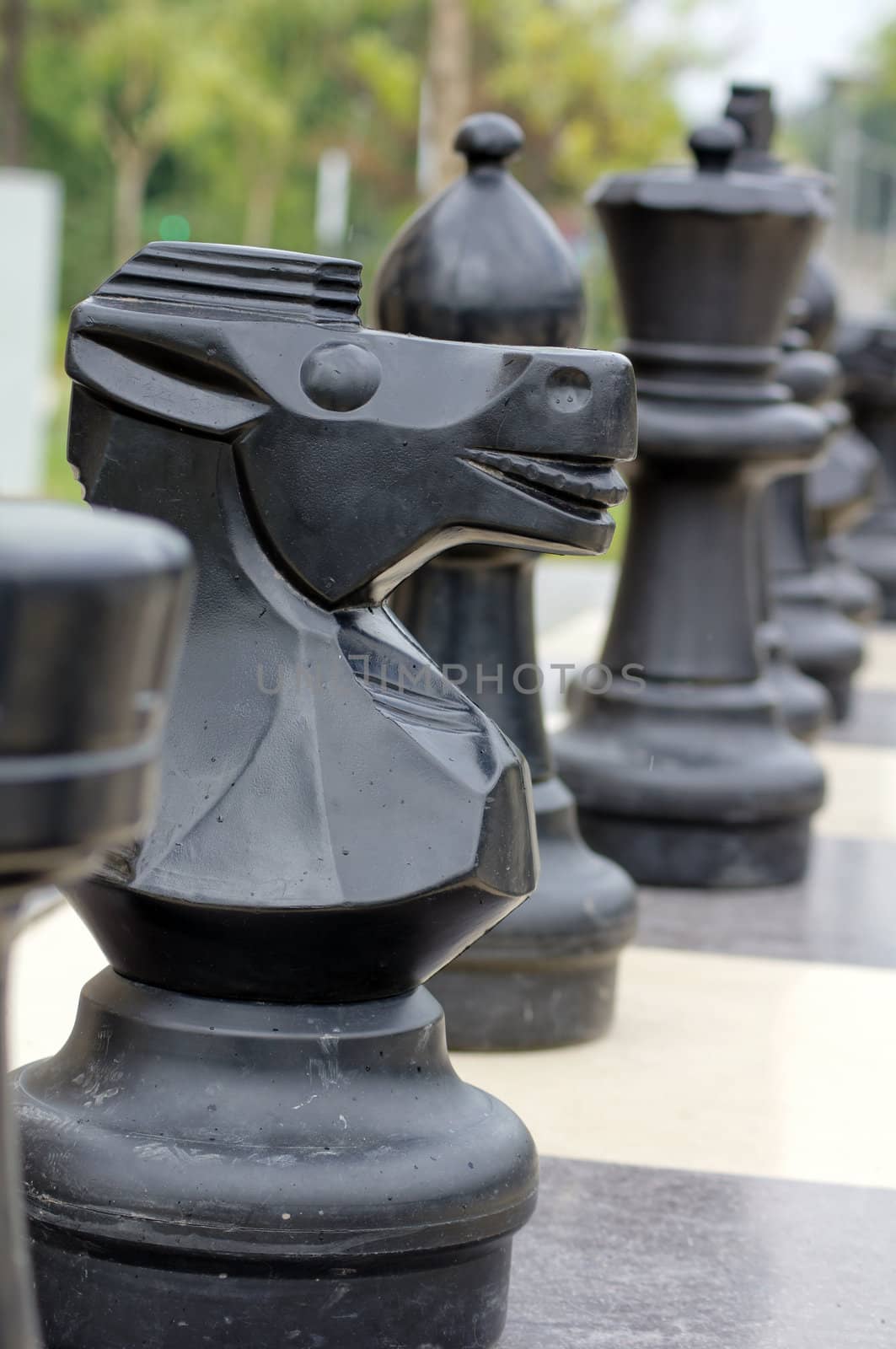 Outdoor chess game in Tbilisi city park, Republic of Georgia