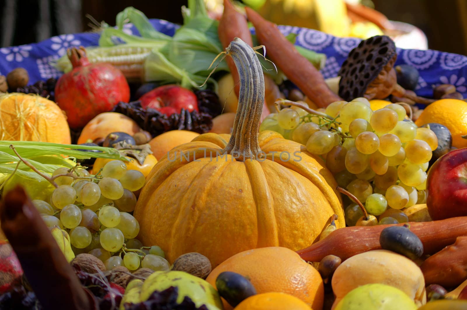 Closeup of autumn vegetables and fruits