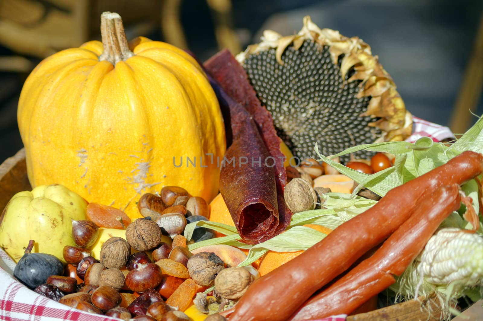 Closeup of autumn vegetables and fruits