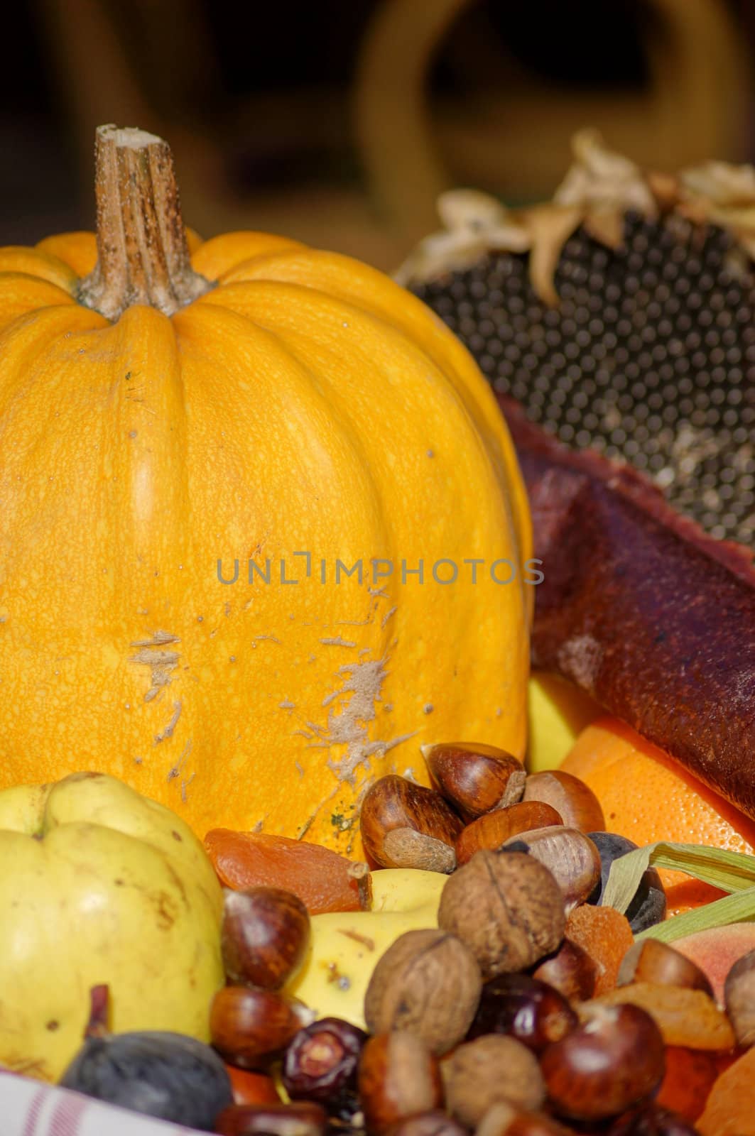 autumn fruits and vegetables on the table