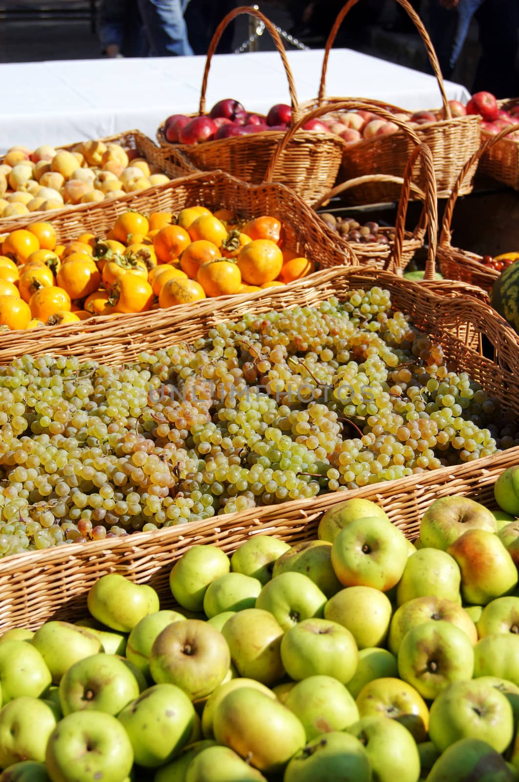 Closeup of autumn vegetables and fruits by Elet