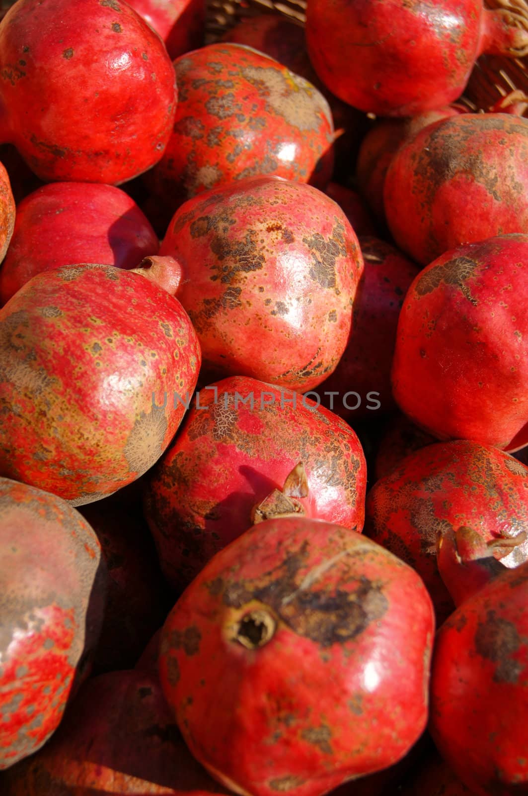 Closeup of autumn vegetables and fruits