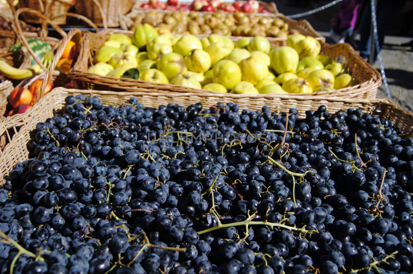 Closeup of autumn vegetables and fruits