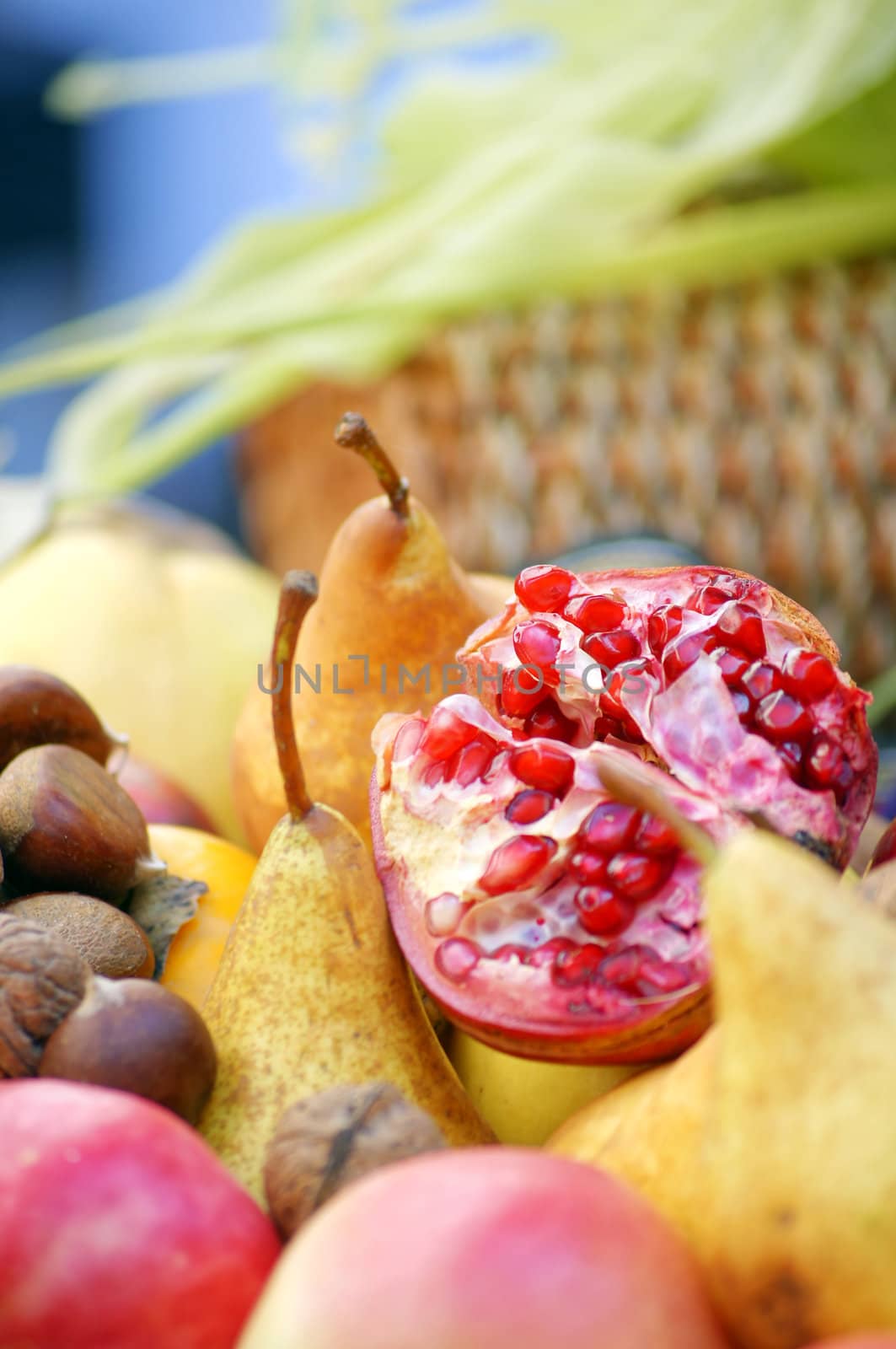 Closeup of autumn vegetables and fruits