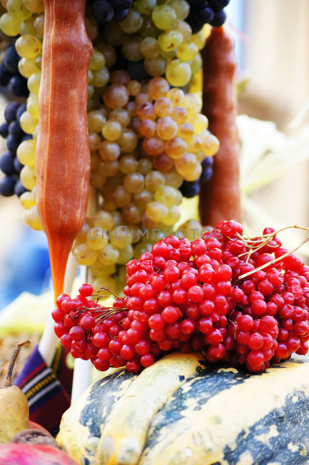 Closeup of autumn vegetables and fruits