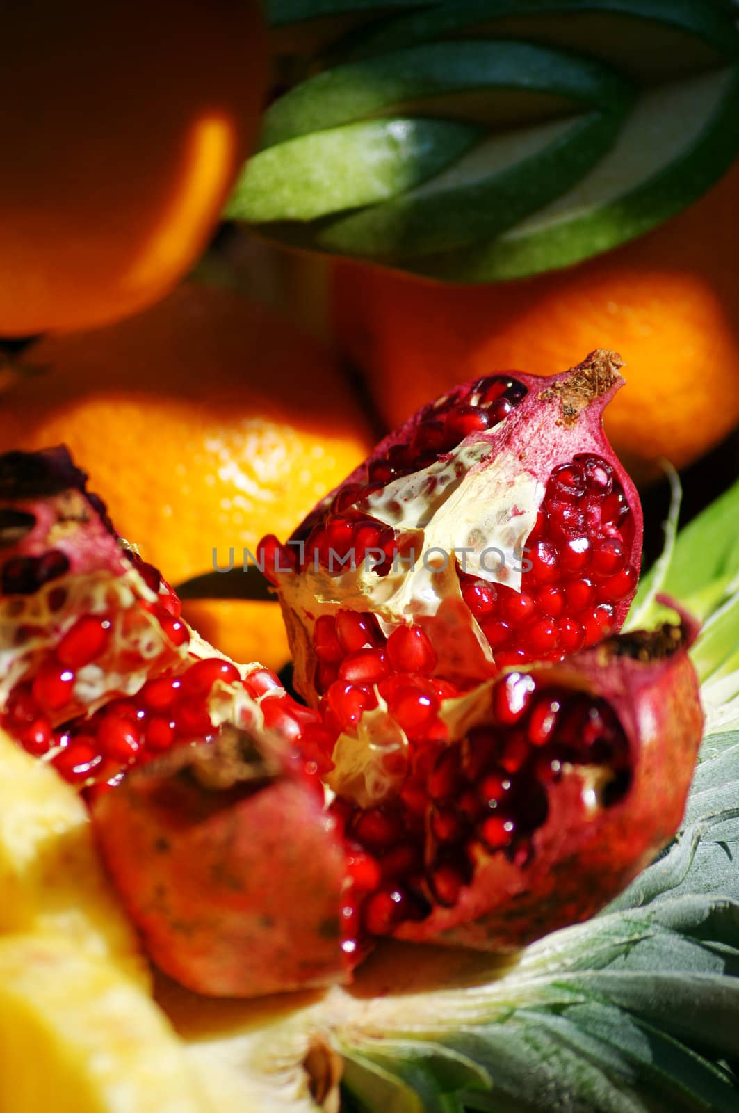 Closeup of autumn vegetables and fruits