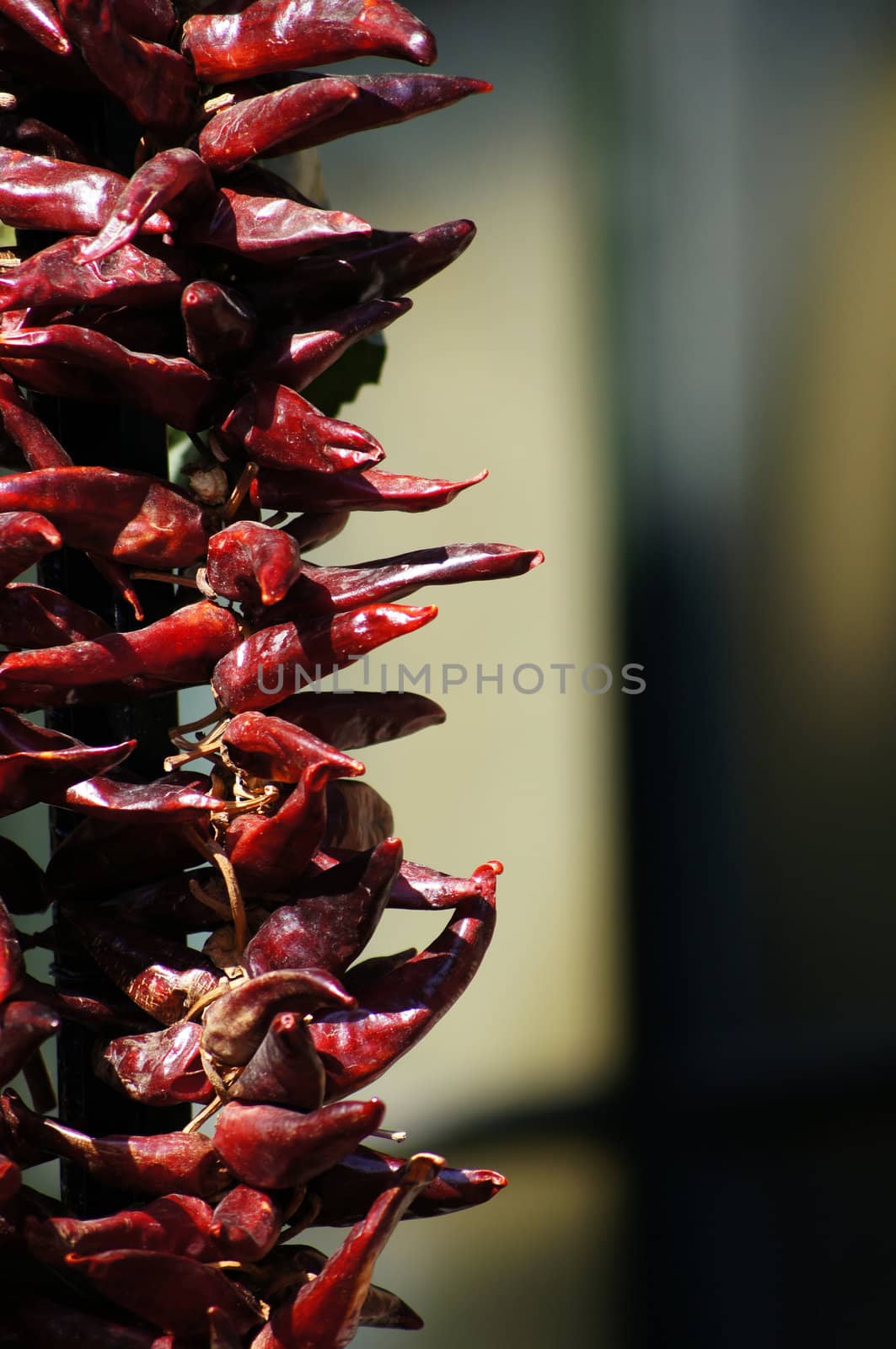 Red chilli peppers on the street market in sunlight