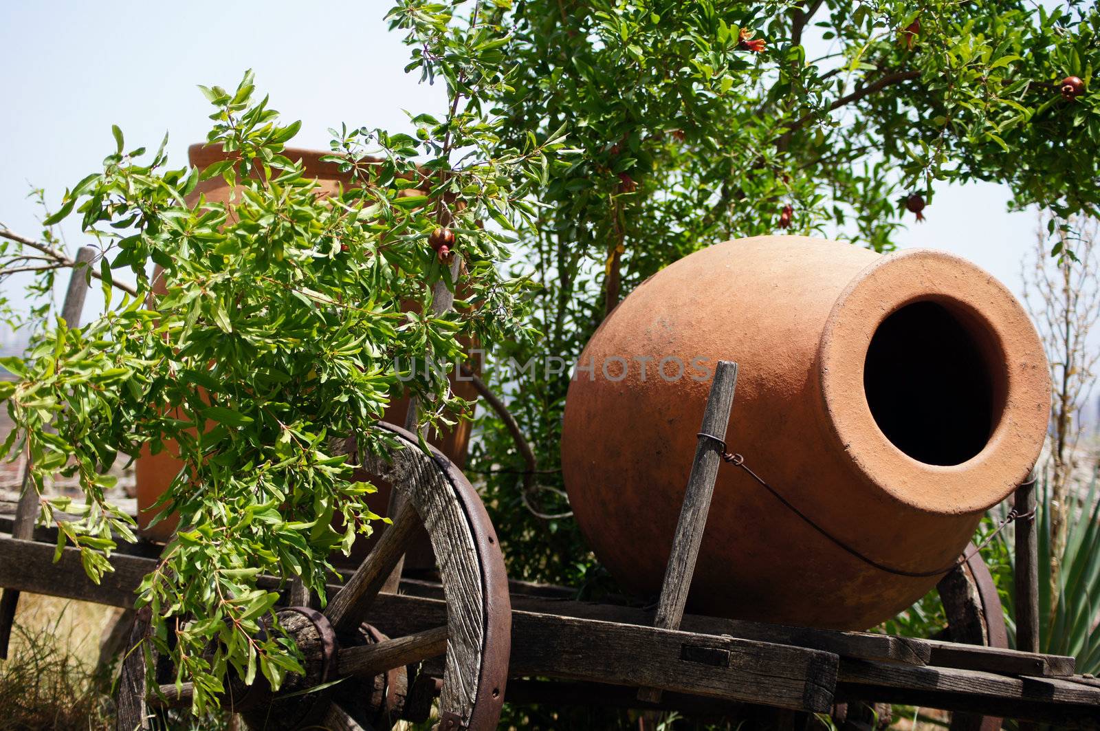 Traditional georgian jugs for wine in Tbilisi castle wall by Elet