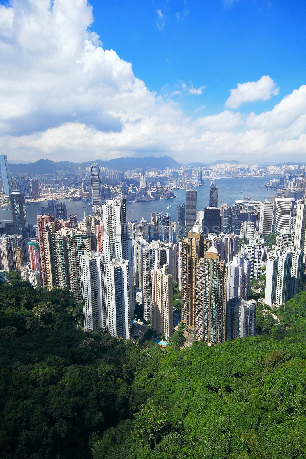Hong Kong skyline from Victoria Peak by cozyta