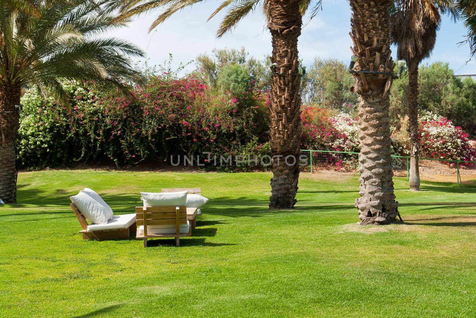 Tropical resort garden rest area with green lawns and palm trees