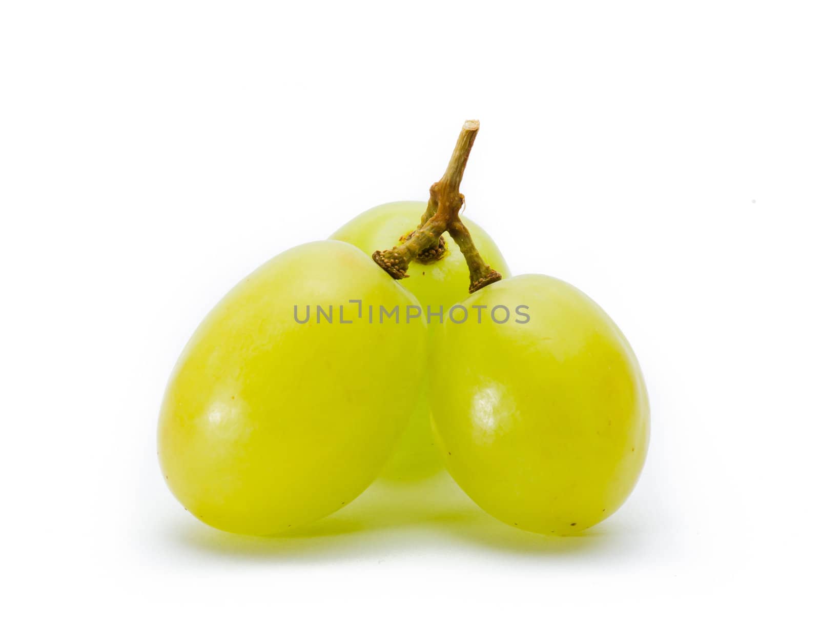 grapes Isolated on the white