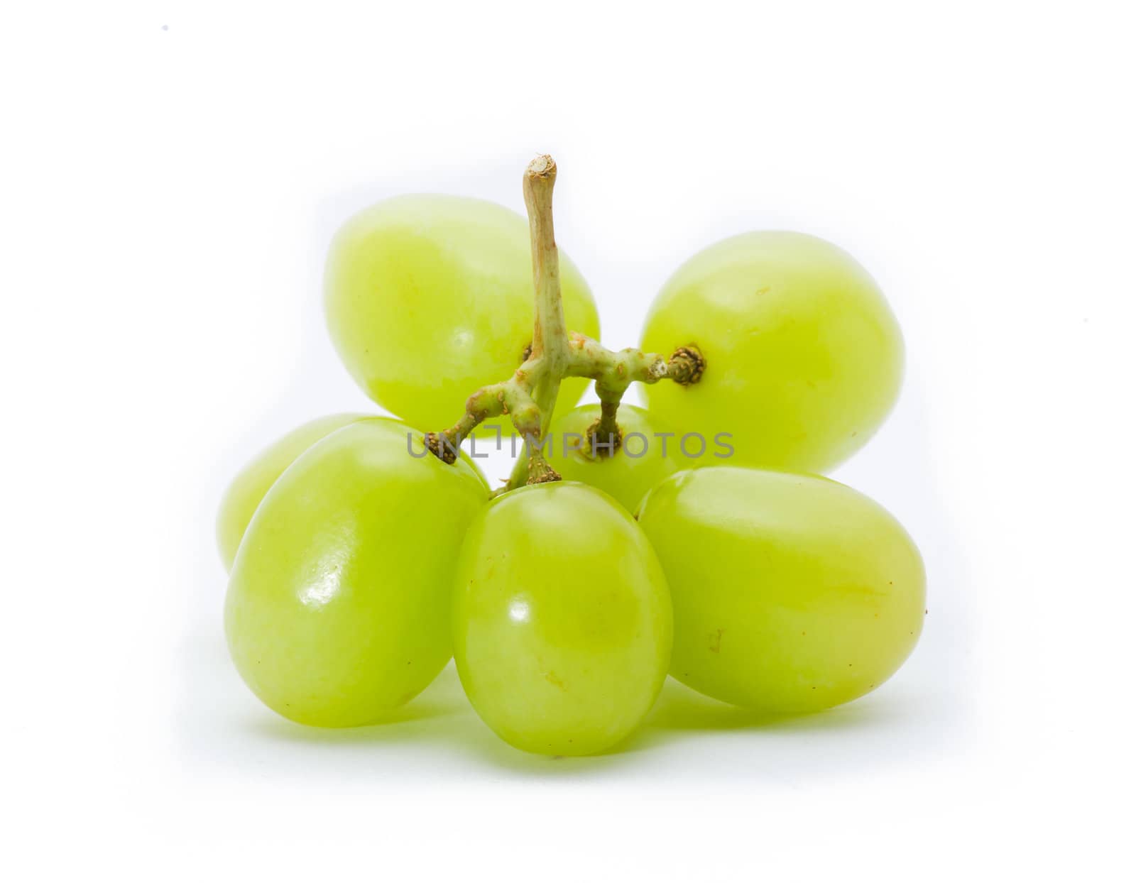 grapes Isolated on the white