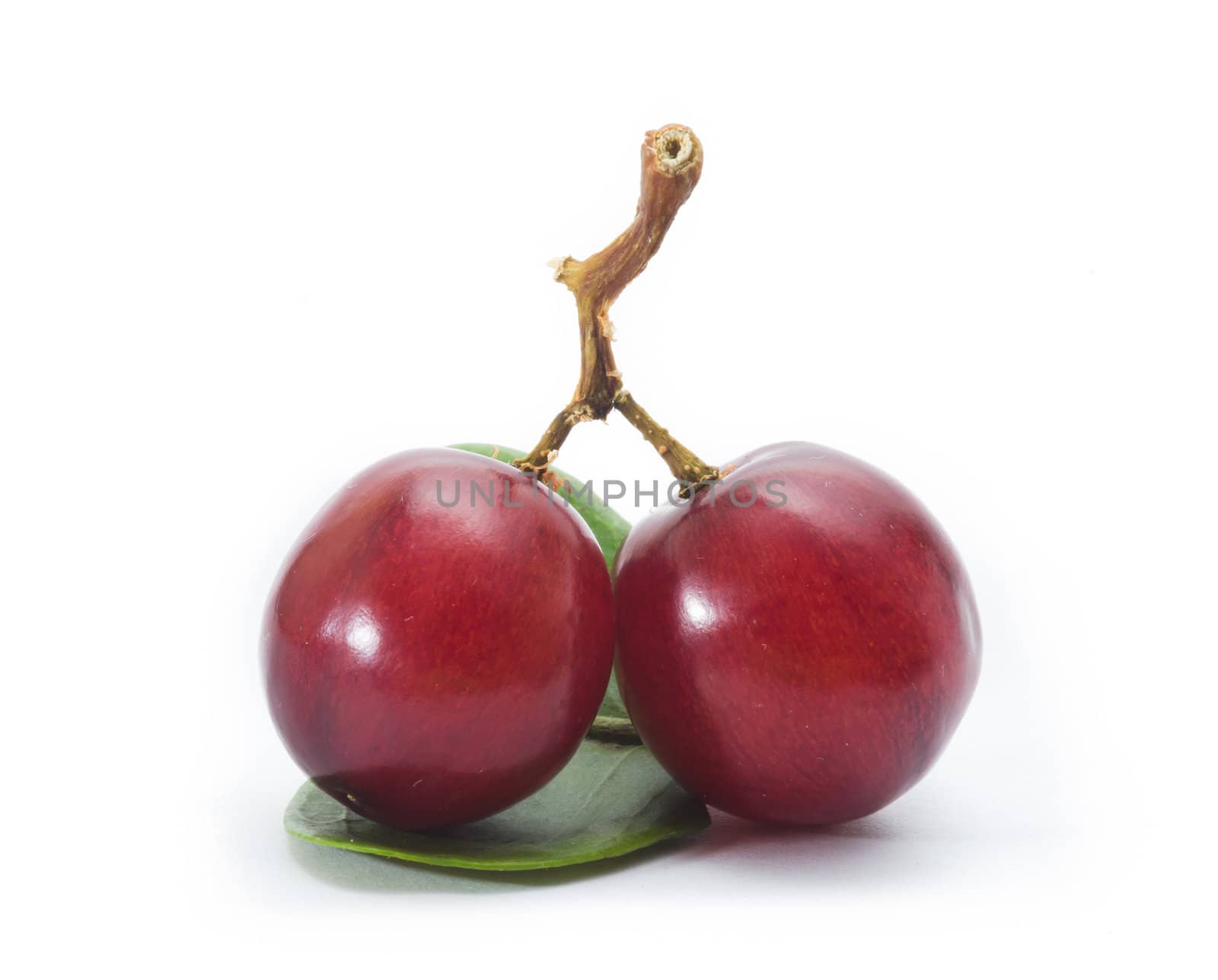 red grape isolated on white