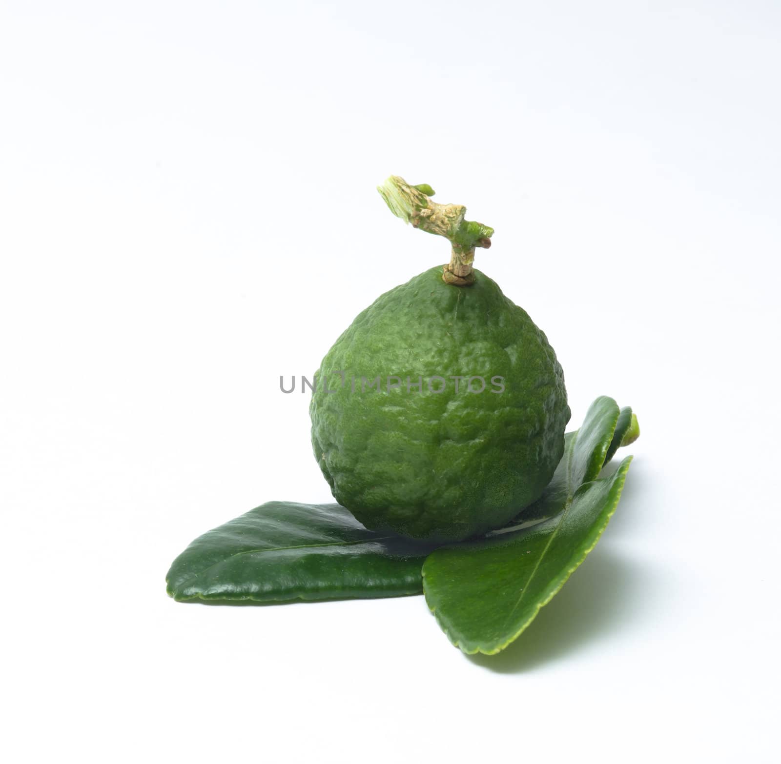 Lime on a white background