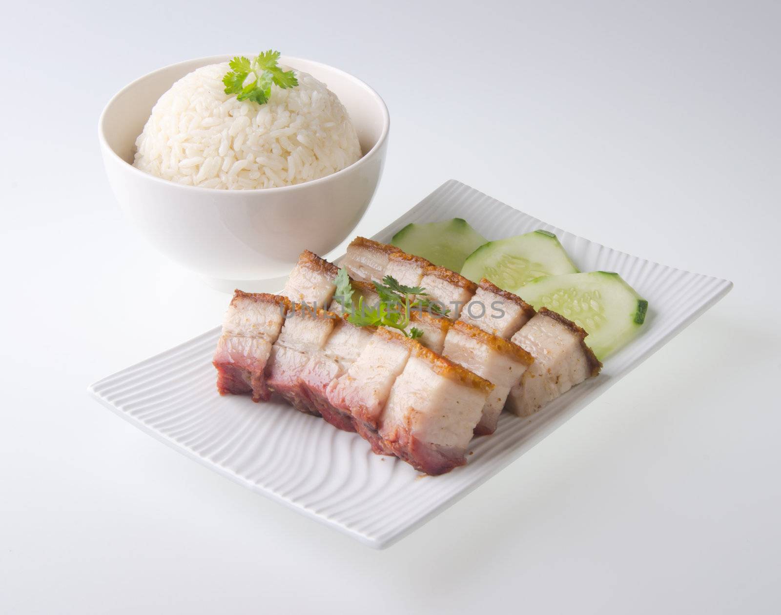 pork. BBQ Pork and Crispy Pork with Rice. by heinteh