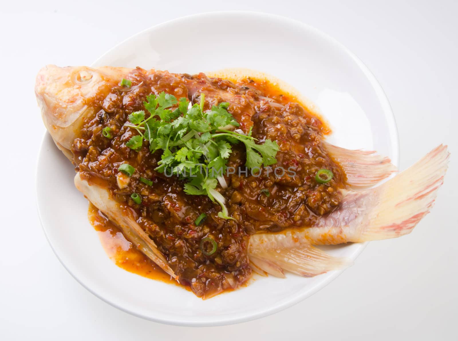 fish. steamed fish chinese style