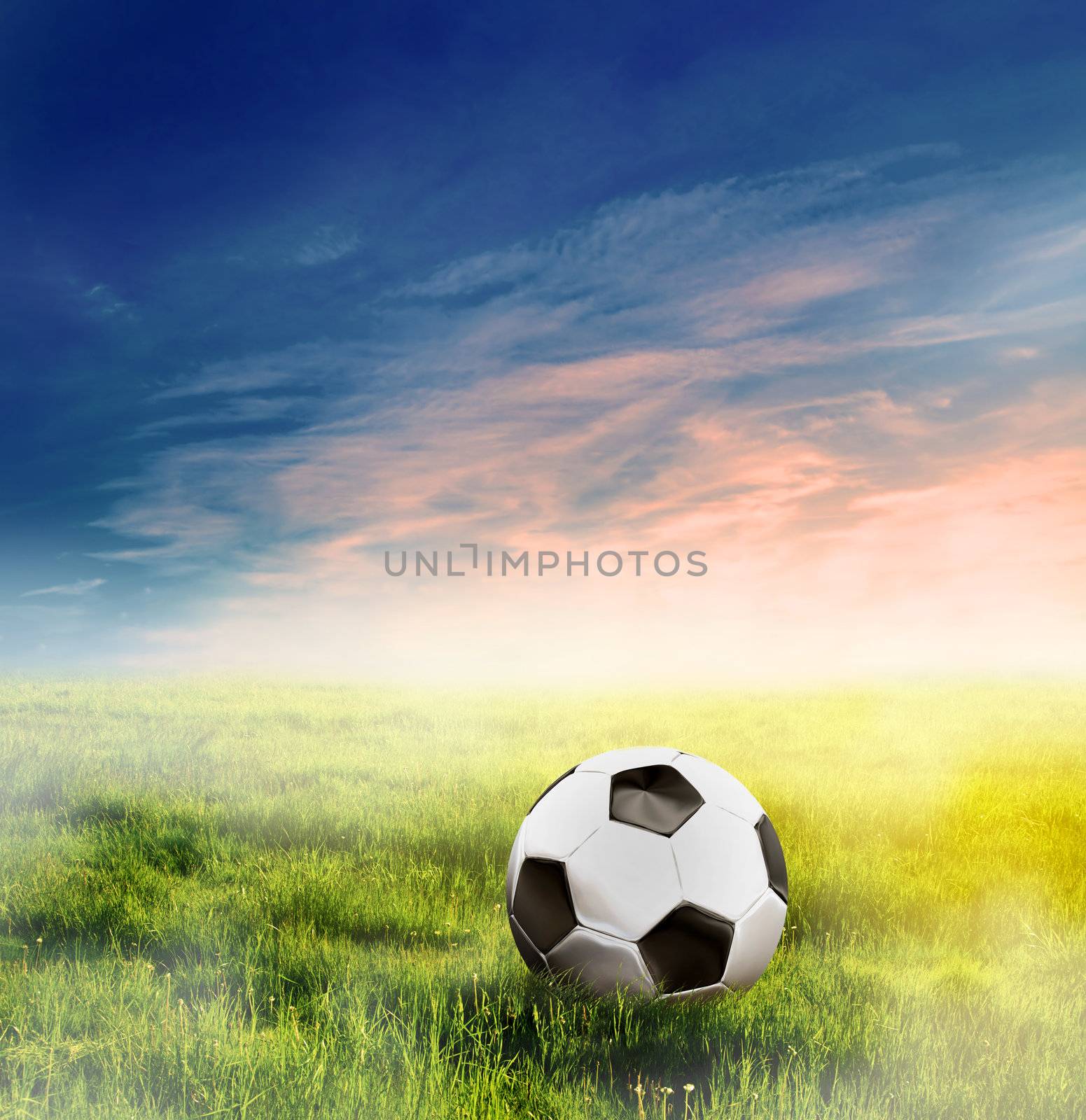 Football, soccer ball on green perfect grass in fantastic morning light.