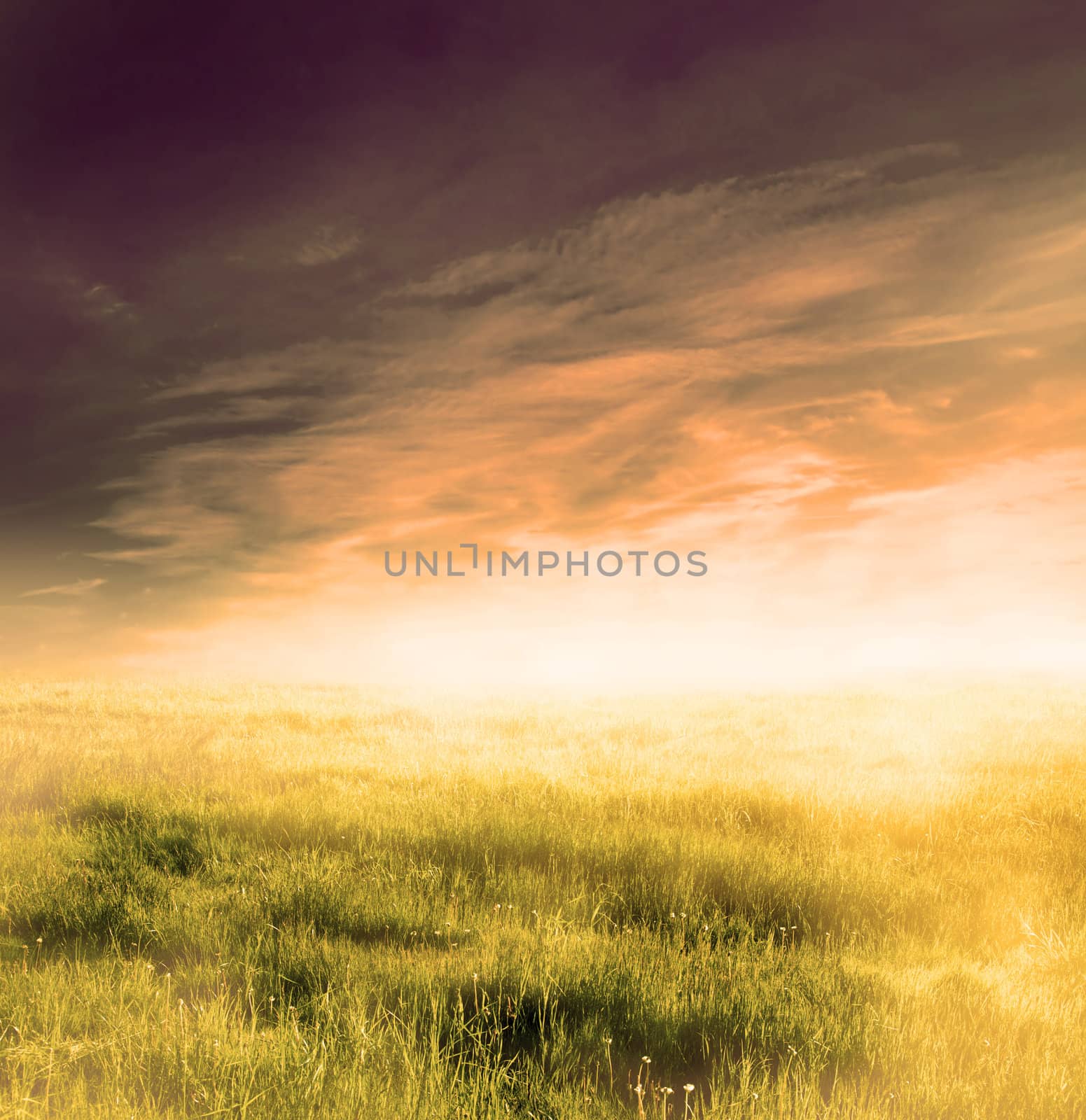 Fairy, magical landscape with sunrise fog by photocreo