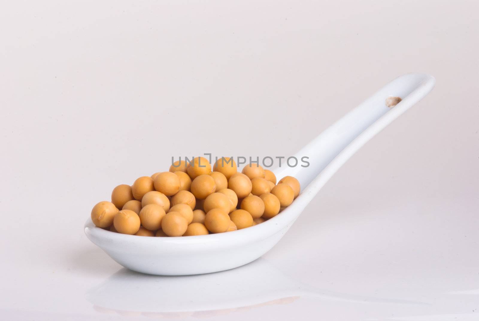 soybean isolated on white background